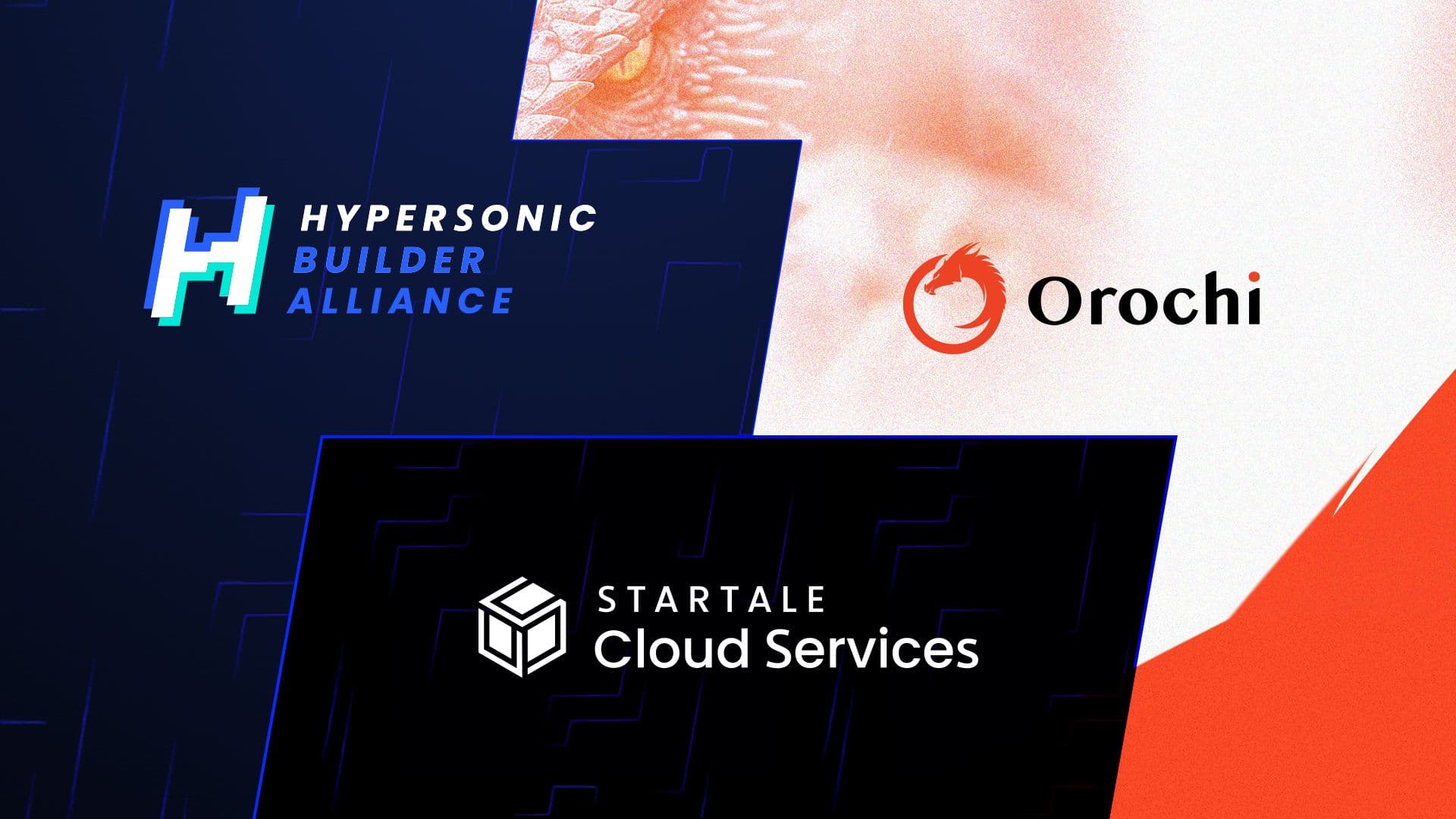 Orochi joins HBA.jpg