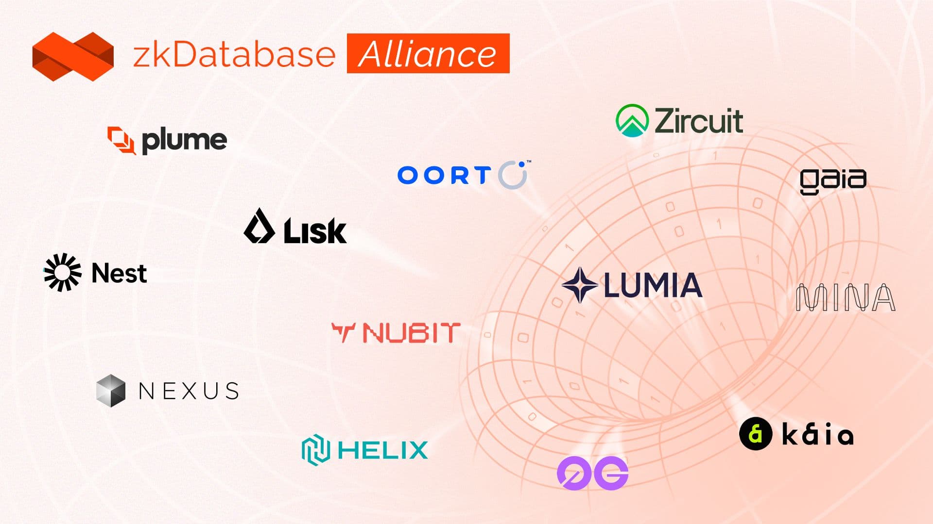 ZK Database Alliance Campaign.jpg